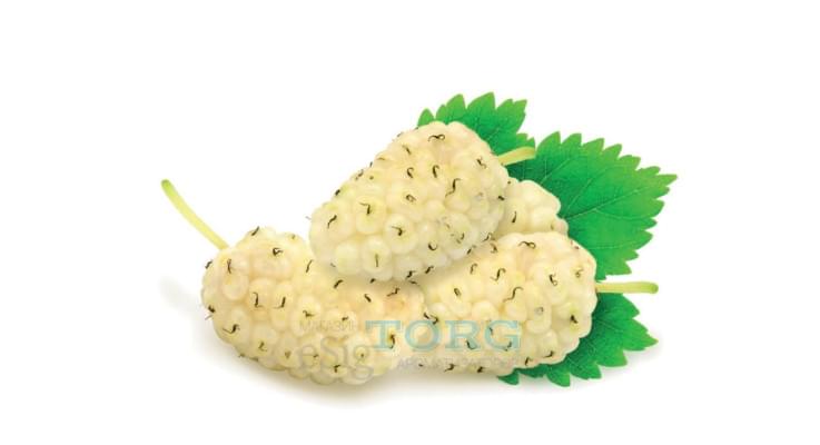 Изображение Ароматизатор My Flavor Mulberry Ароматизатор My Flavor Mulberry